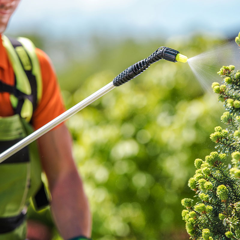 Εργαλεία Image